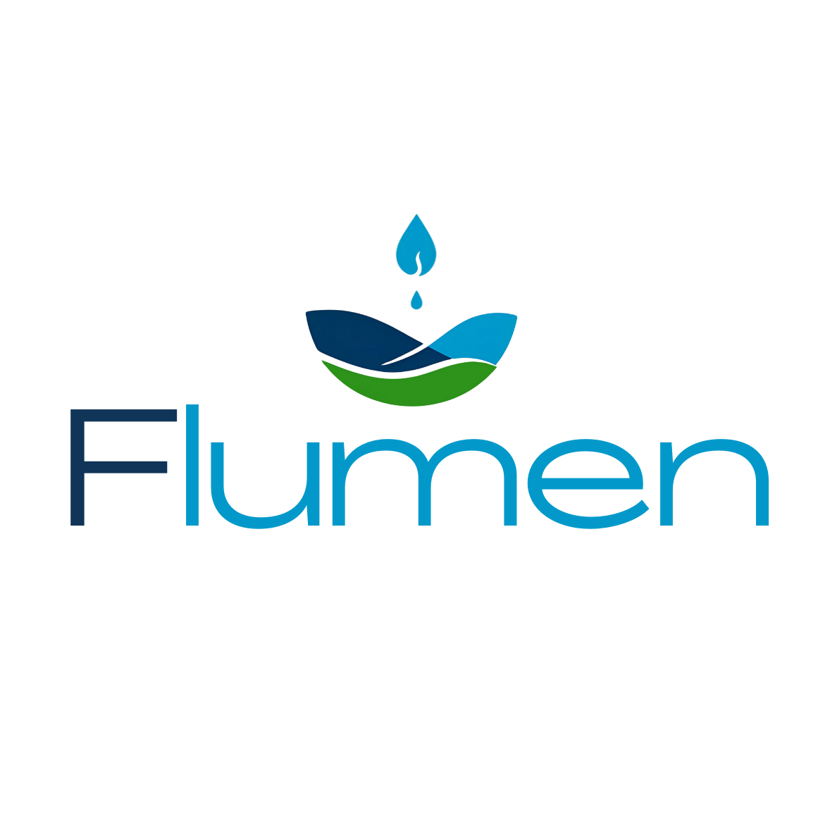 Flumen Consultoria Logo