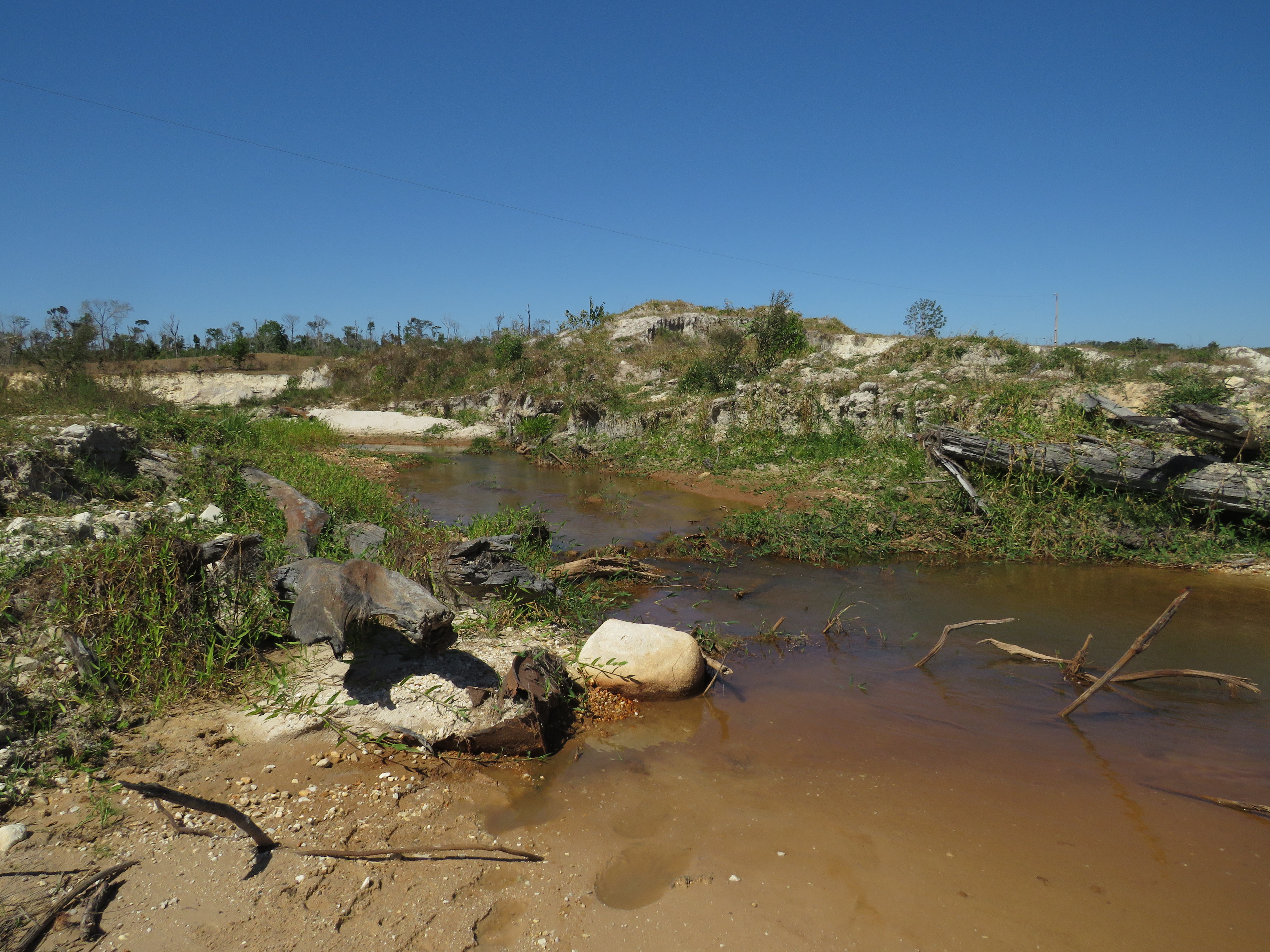 Foto da Restauração Ecológica